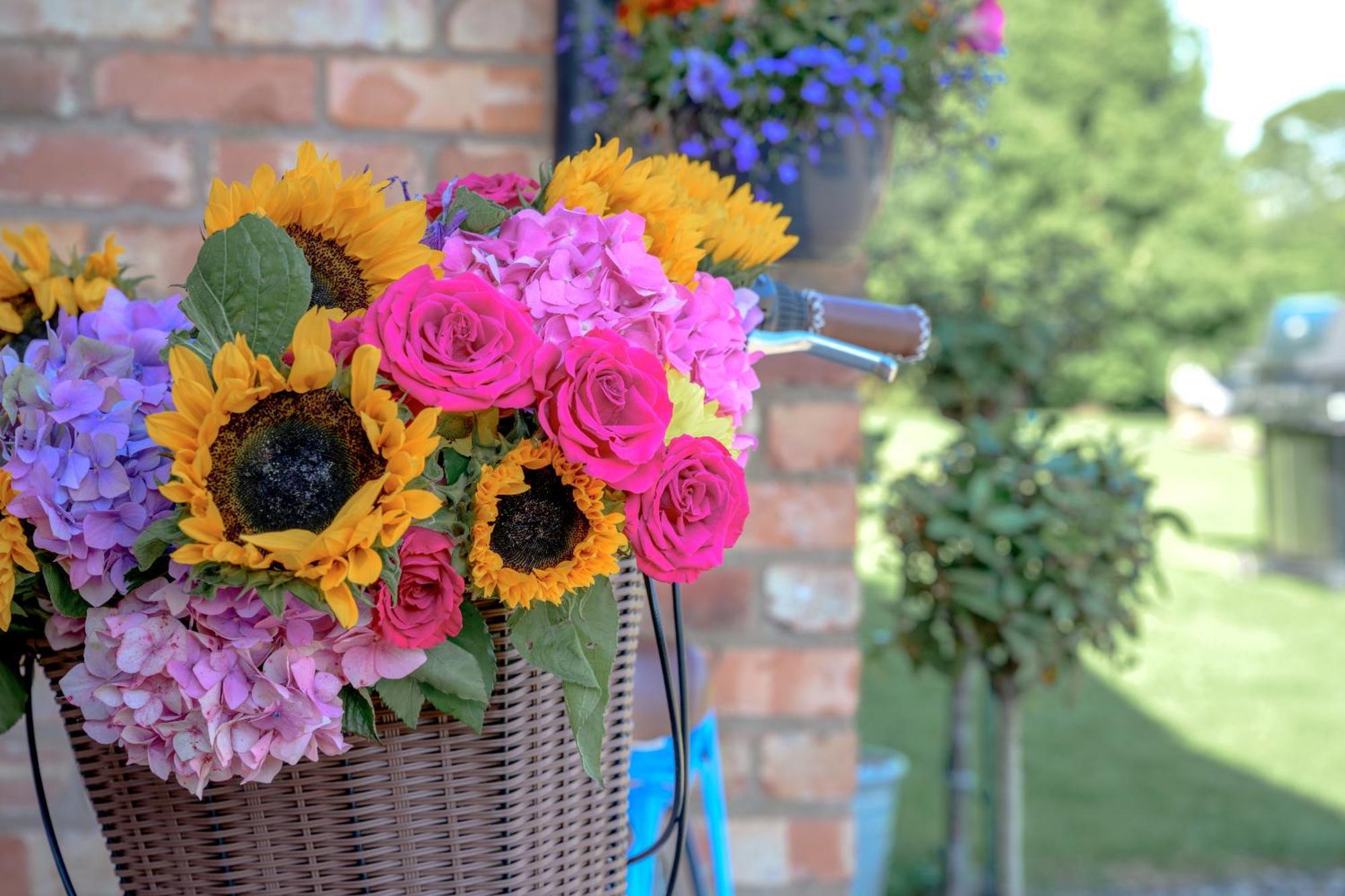 Saughall Mill Farm Cottage เชสเตอร์ ภายนอก รูปภาพ